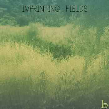 Fields 